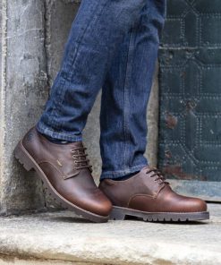 Newspee.shop00e3d0ac83 1