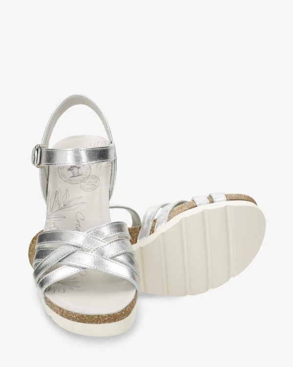 Newspee.shop06e2ca231b 5