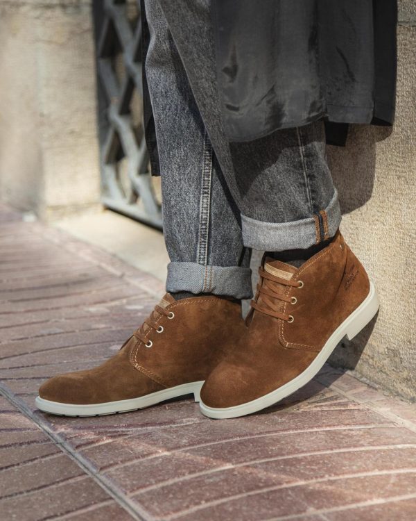 Newspee.shop08a63bddf1 1