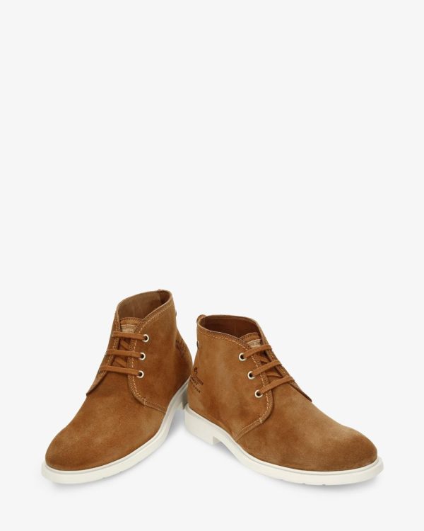 Newspee.shop08a63bddf1 4