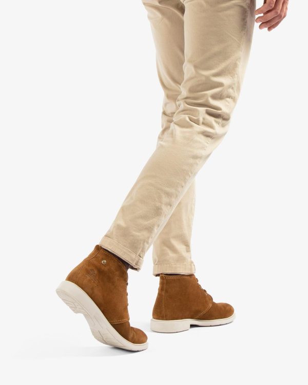 Newspee.shop08a63bddf1 5