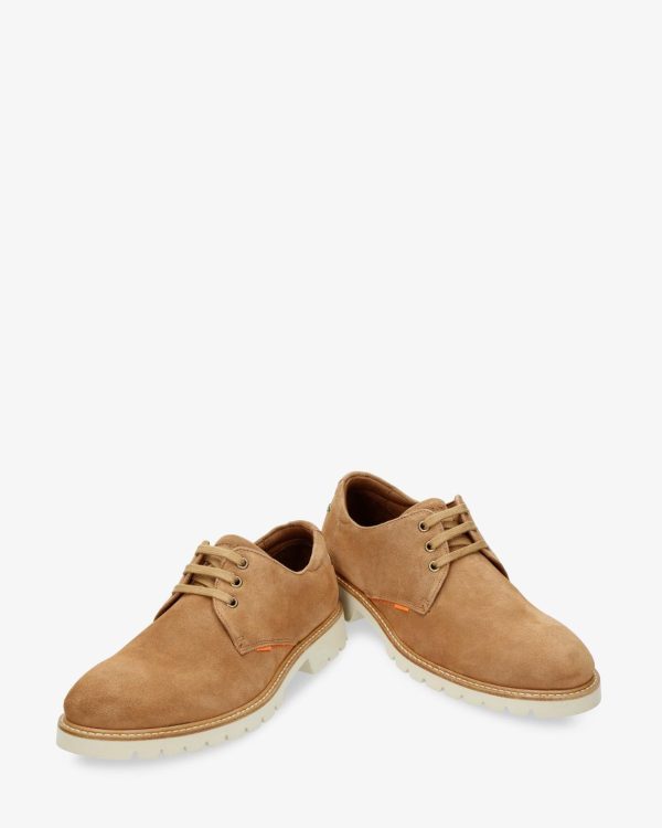 Newspee.shop0afa7ee368 3