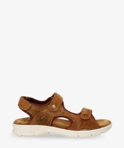 Newspee.shop1b47cbb0a0 1