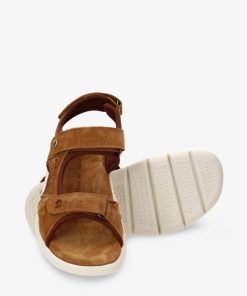 Newspee.shop1b47cbb0a0 3