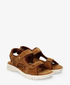 Newspee.shop1b47cbb0a0 4