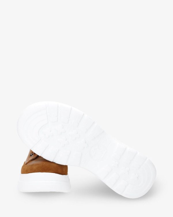 Newspee.shop1cbafacd2d 4