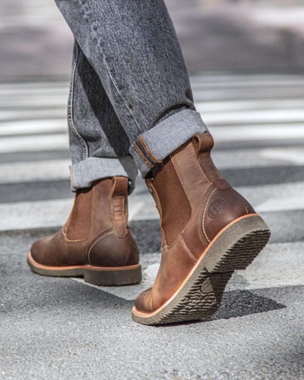 Newspee.shop221b8329f5 1