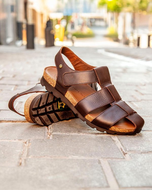 Newspee.shop2e55cff03f 1