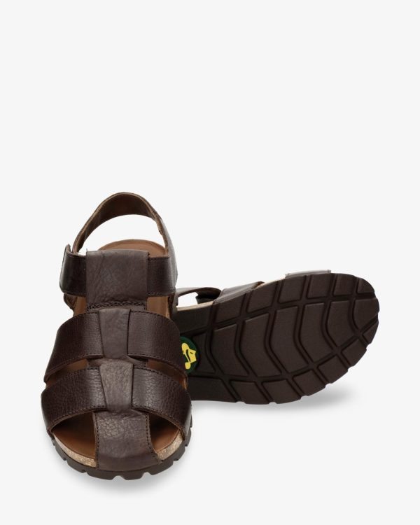 Newspee.shop2e55cff03f 2