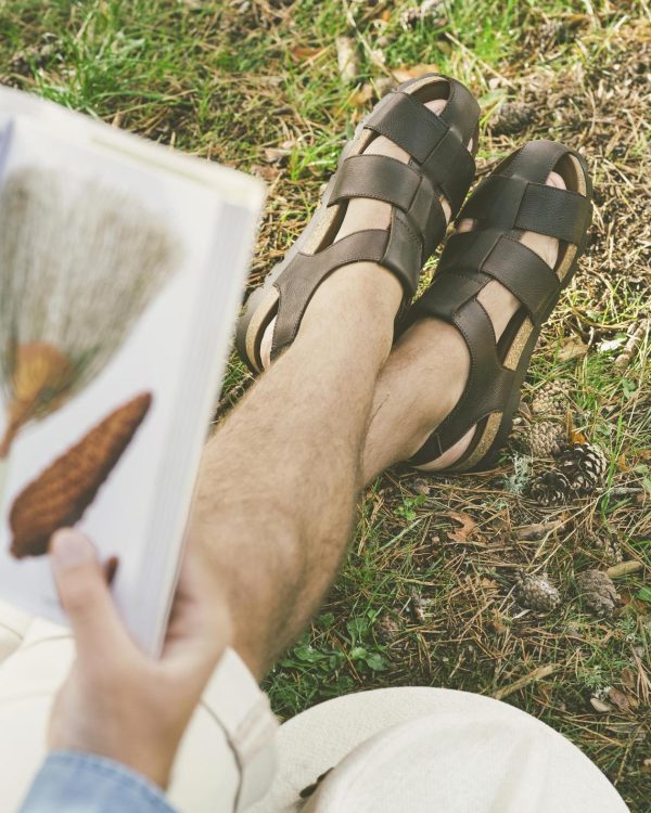 Newspee.shop2e55cff03f 4