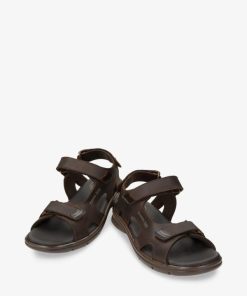 Newspee.shop3196e7fdac 3