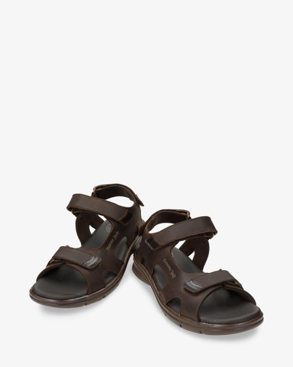 Newspee.shop3196e7fdac 3