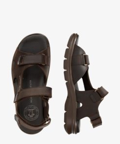 Newspee.shop3196e7fdac 4