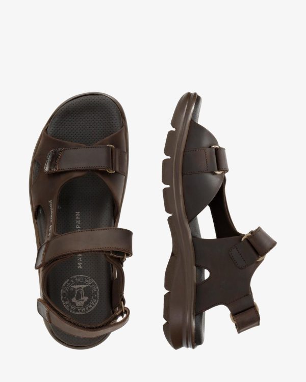 Newspee.shop3196e7fdac 4