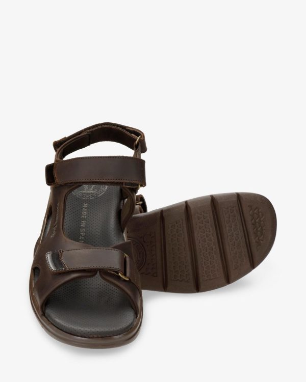 Newspee.shop3196e7fdac 5