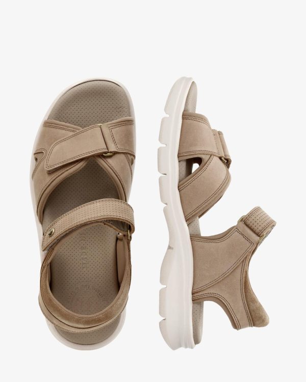 Newspee.shop3cef6f4458 2