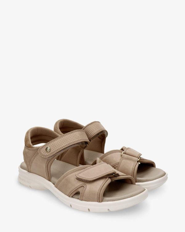 Newspee.shop3cef6f4458 3