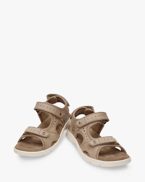 Newspee.shop3e02a322e1 3