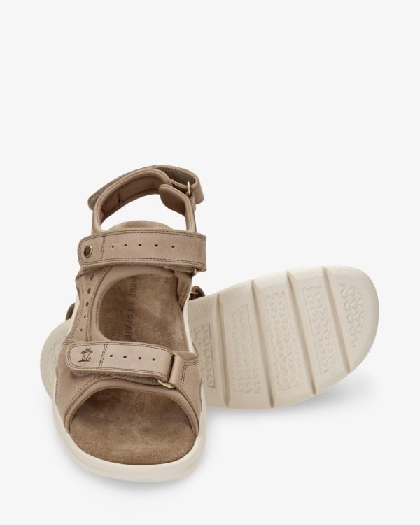 Newspee.shop3e02a322e1 4