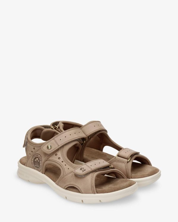 Newspee.shop3e02a322e1 5