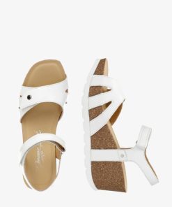 Newspee.shop488599ea60 1