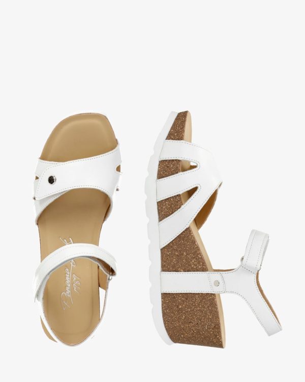 Newspee.shop488599ea60 1