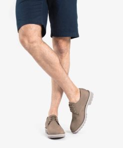 Newspee.shop503da1e485 2