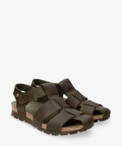 Newspee.shop5088afb394 2