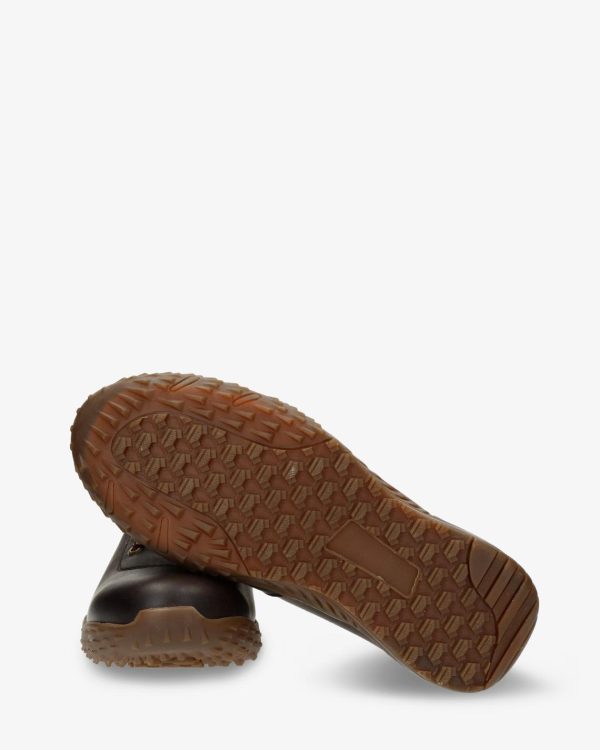 Newspee.shop5fb81e077e 3