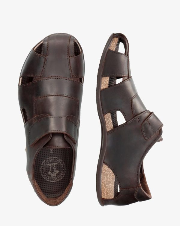 Newspee.shop6030a01582 5