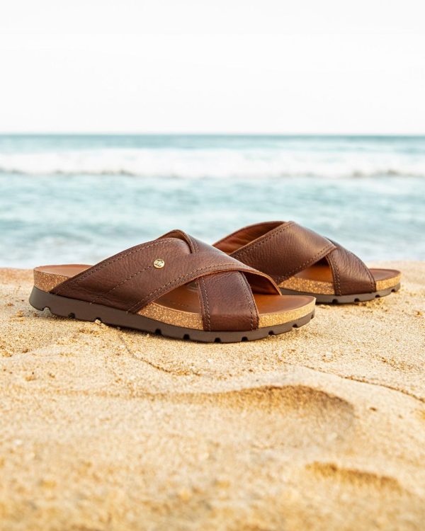 Newspee.shop6a332292b9 1