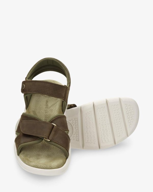 Newspee.shop741b89937a 5