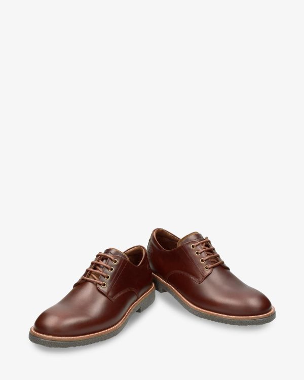 Newspee.shop7a83b9d108 5