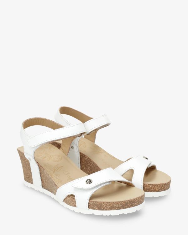 Newspee.shop7e4bef1178 3