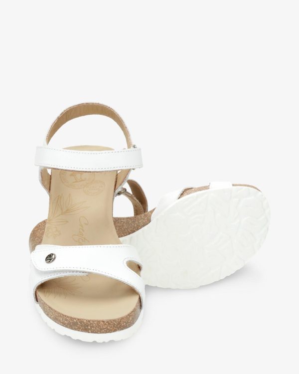 Newspee.shop7e4bef1178 4