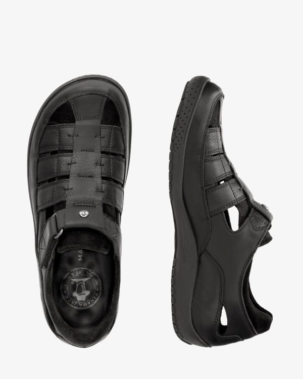 Newspee.shop80c7c1fb1c 5