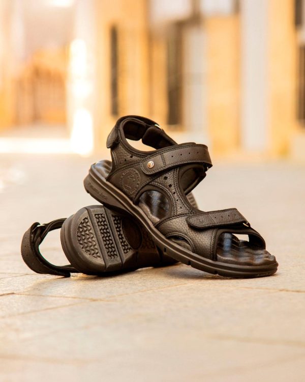 Newspee.shop8485bb6df9 5