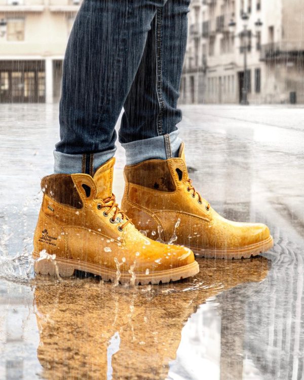 Newspee.shop8845d6971d 1