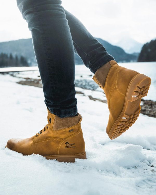 Newspee.shop8845d6971d 2