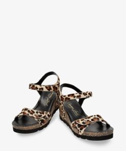 Newspee.shop8d003a04d9 2