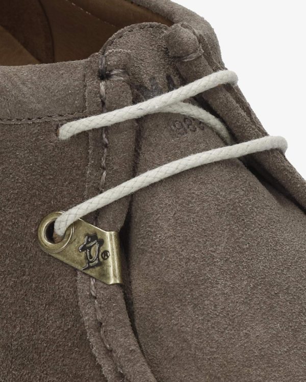 Newspee.shop8d557d0558 5