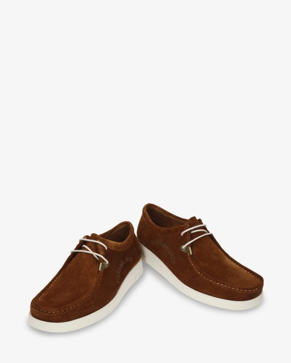 Newspee.shop91c4856503 2