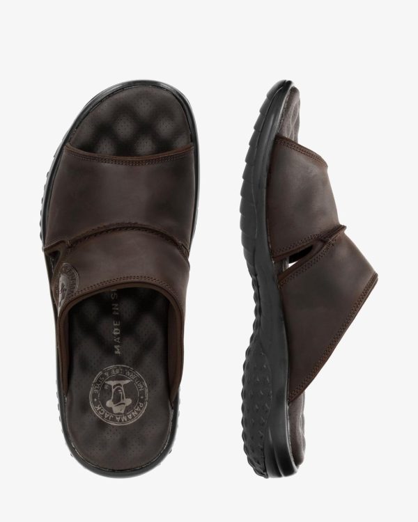 Newspee.shop9b54543857 1