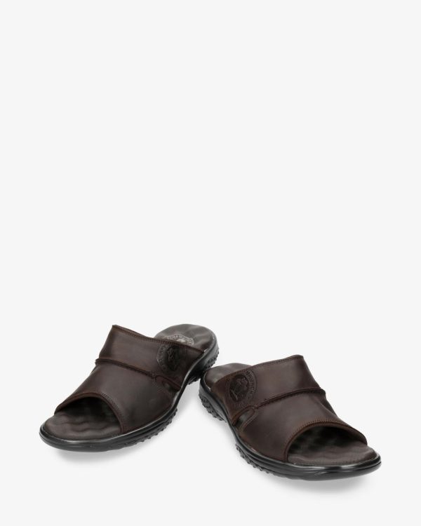 Newspee.shop9b54543857 4