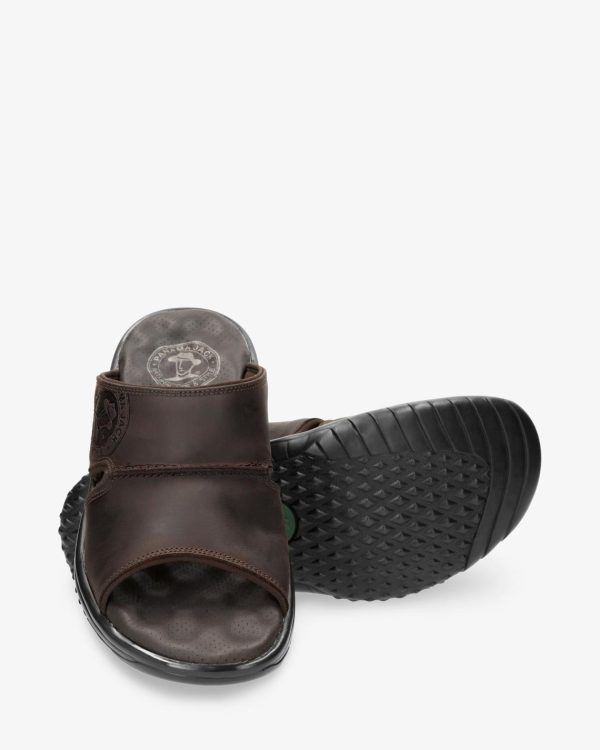 Newspee.shop9b54543857 5