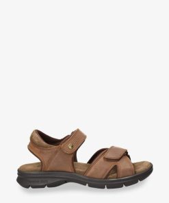 Newspee.shopb3868abf3c 1