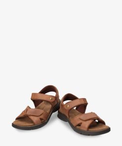 Newspee.shopb3868abf3c 3