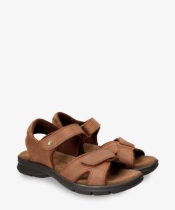 Newspee.shopb3868abf3c 5