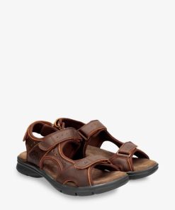 Newspee.shopbf968f01ad 2