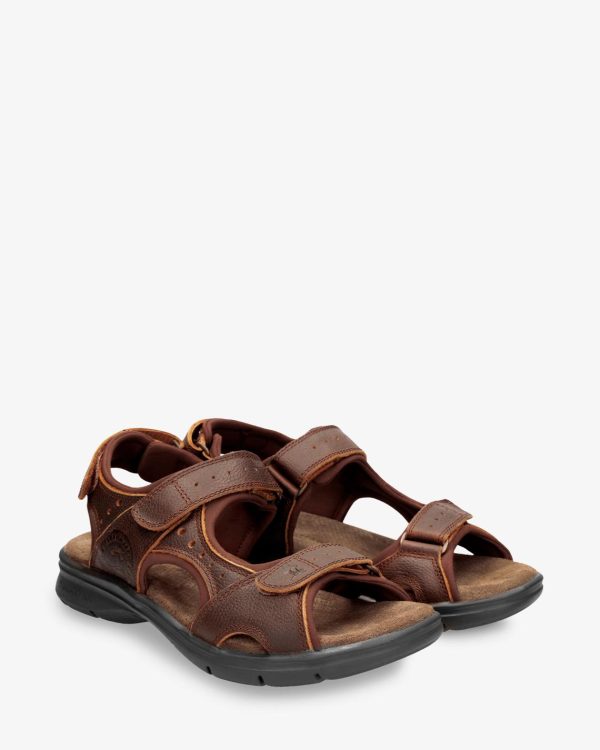 Newspee.shopbf968f01ad 2